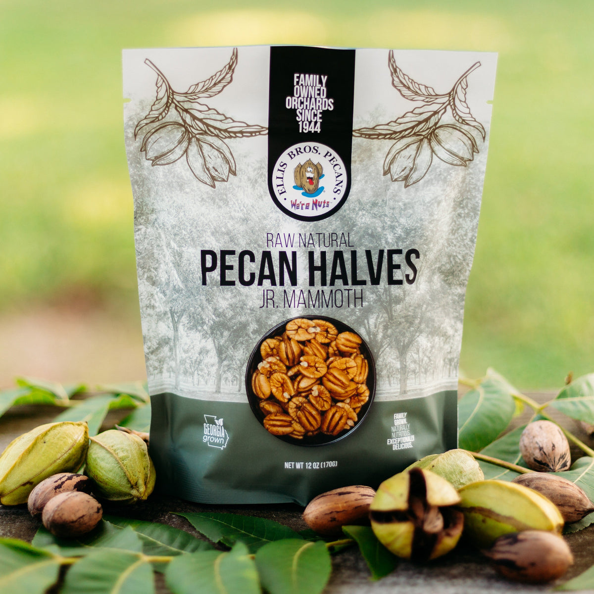 Raw Natural Junior Mammoth Pecan Halves