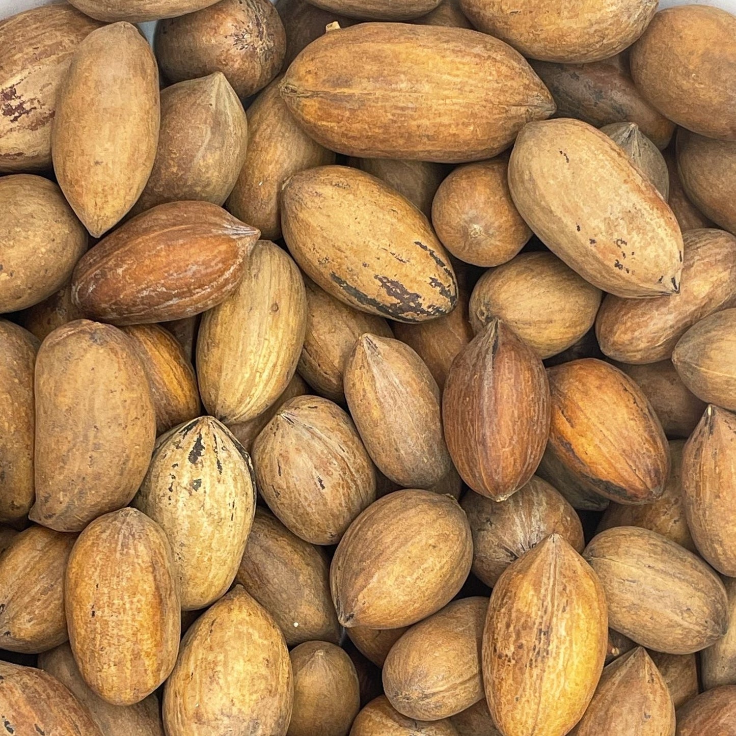 Squirrel Food Bulk (25lb)