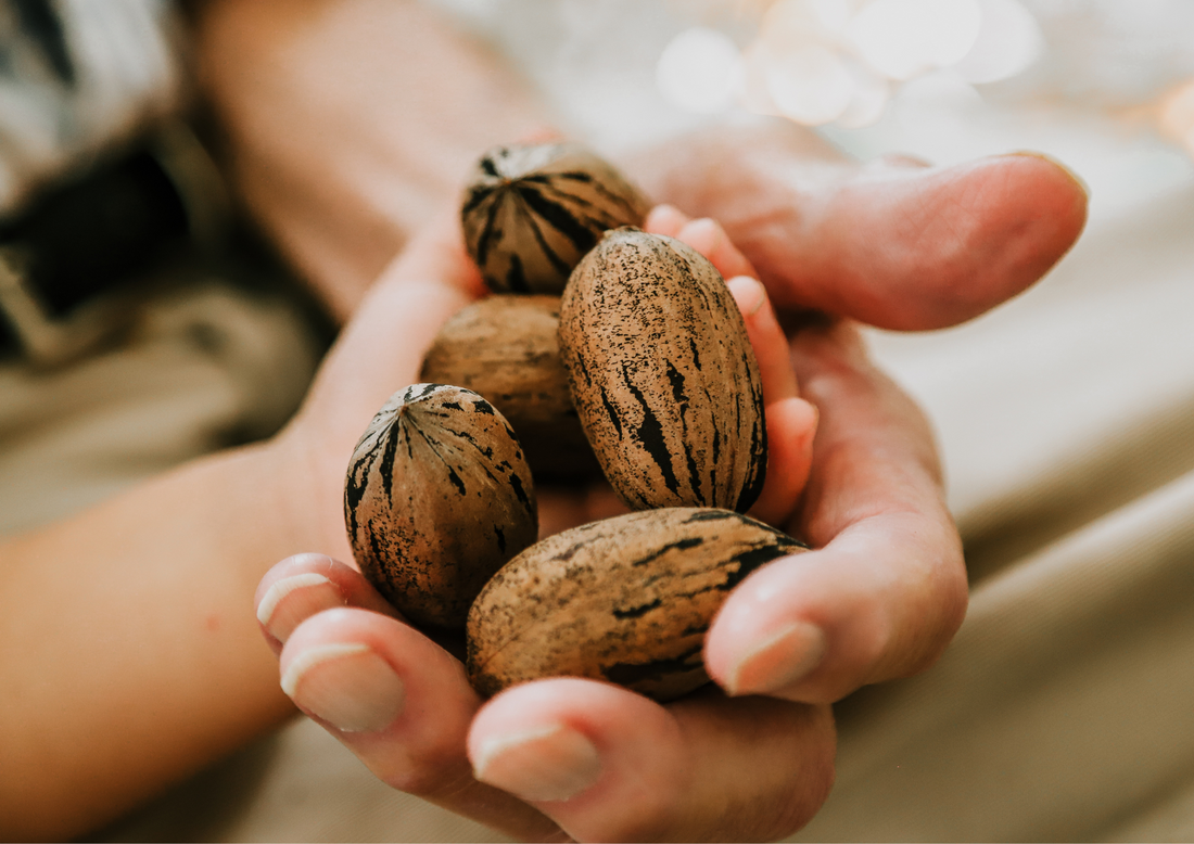 Ellis Bros. Pecans