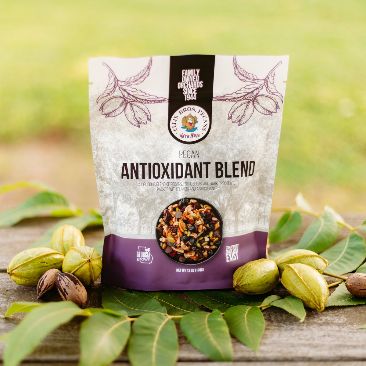 Antioxidant Blend Pecan Snack Mix