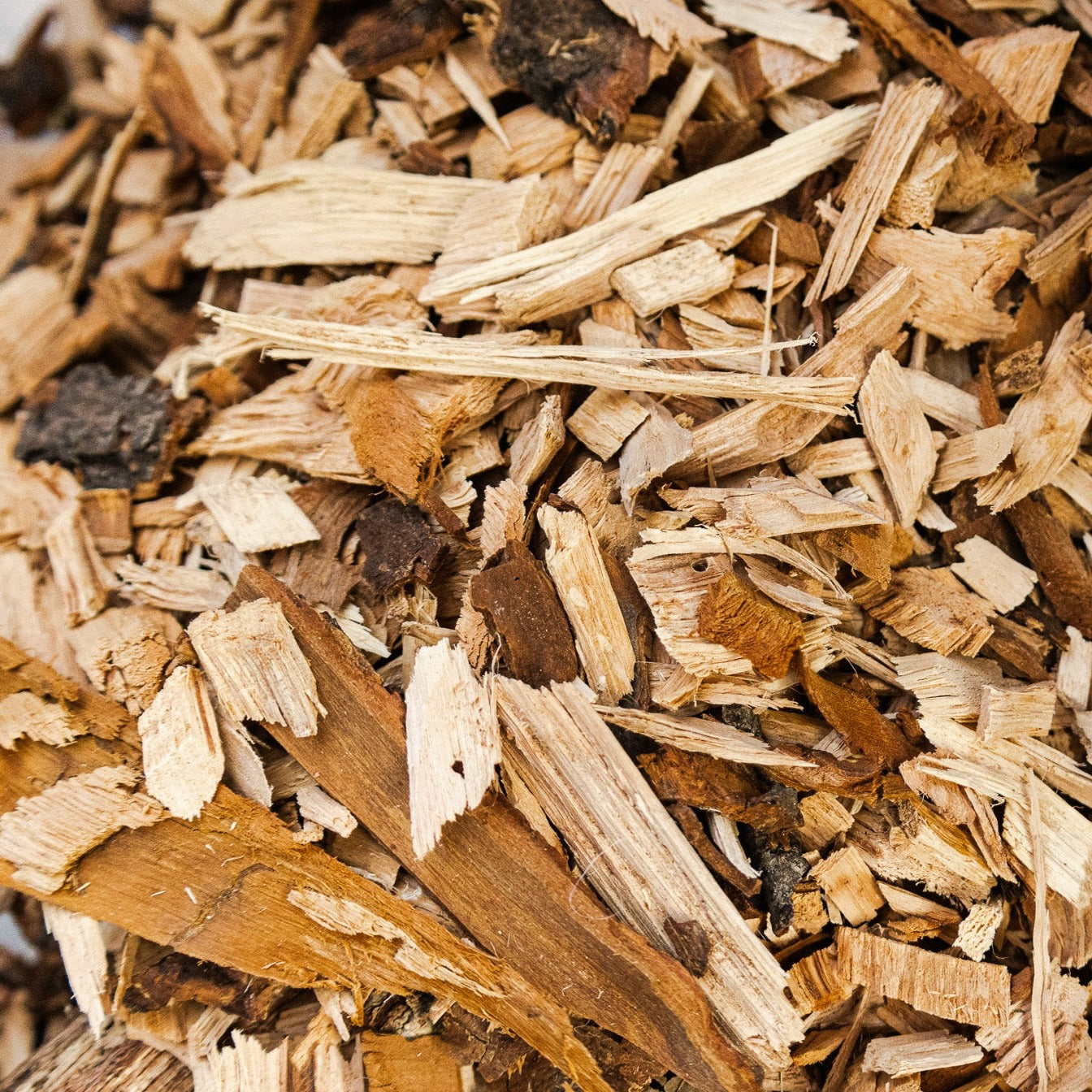 Pecan 2025 wood chips